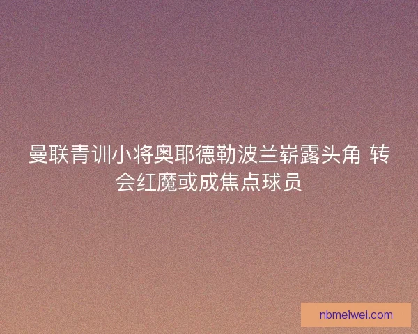 曼联青训小将奥耶德勒波兰崭露头角 转会红魔或成焦点球员