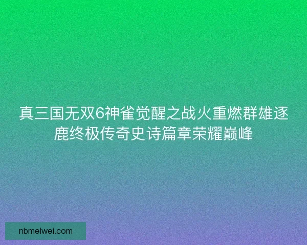 真三国无双6神雀觉醒之战火重燃群雄逐鹿终极传奇史诗篇章荣耀巅峰