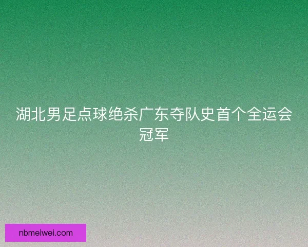 湖北男足点球绝杀广东夺队史首个全运会冠军