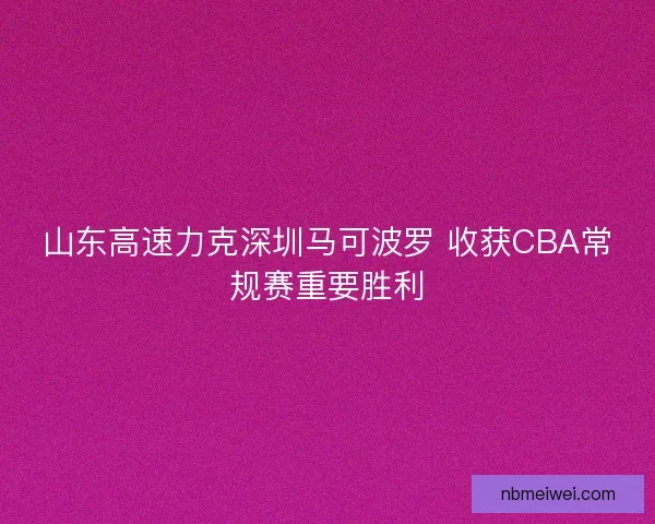 山东高速力克深圳马可波罗 收获CBA常规赛重要胜利