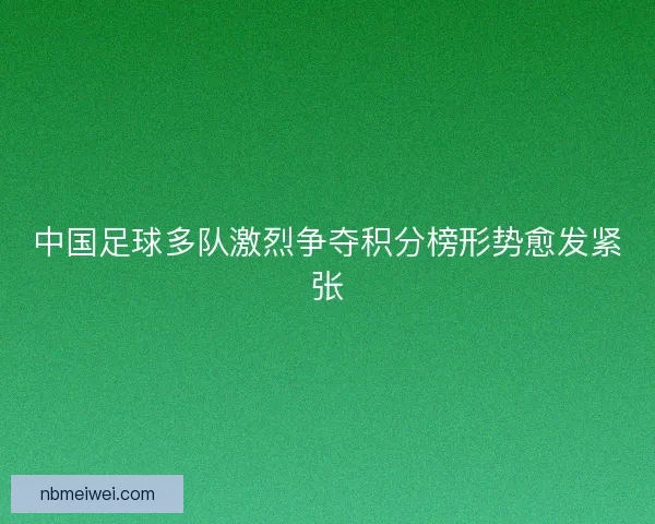 中国足球多队激烈争夺积分榜形势愈发紧张 中国足球多队激烈争夺积分榜形势愈发紧张