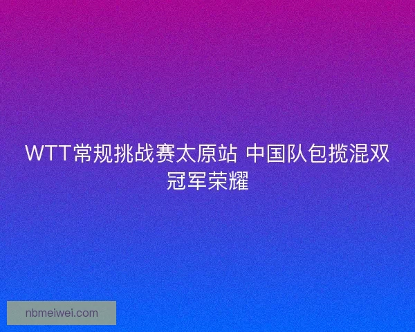 WTT常规挑战赛太原站 中国队包揽混双冠军荣耀
