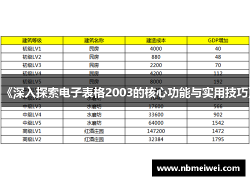 《深入探索电子表格2003的核心功能与实用技巧》